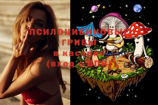 индика Армянск