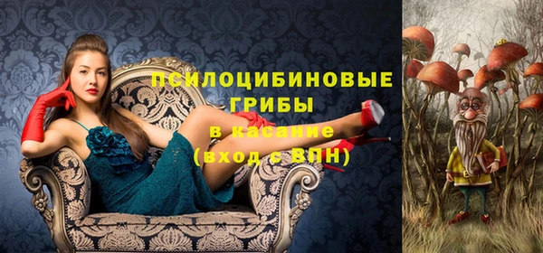 ПСИЛОЦИБИНОВЫЕ ГРИБЫ Аркадак