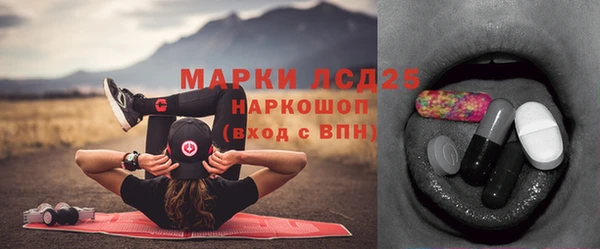 индика Армянск