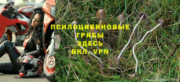 индика Армянск