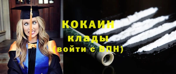 индика Армянск