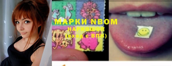 индика Армянск