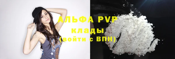 индика Армянск