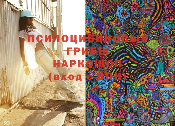 индика Армянск