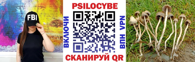 купить наркотик  Узловая  Псилоцибиновые грибы GOLDEN TEACHER 